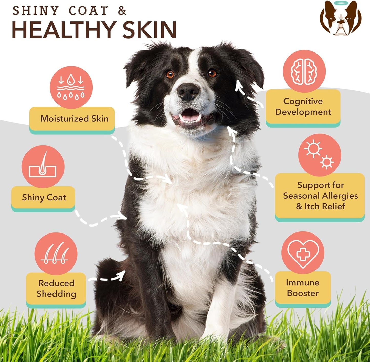 Natural Dog Company Healthy Joints, Skin and Coat Bundle for Dogs, Includes (1) Bottle Natural Dog Company Skin and Coat Oil, (1) Bottle Liquid Glucosamine, Food Topper, Dog's Fish Oil Supplement