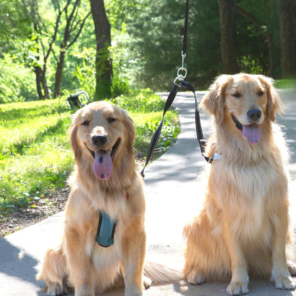 Caldwell's Pet Supply Co. Leash Coupler, Two Dog Leash Splitter to Split Leashes for Walking 2 Dogs, Tangle Free Double Dog Leashes Connector, Adjustable Attachment for Small or Medium Dogs