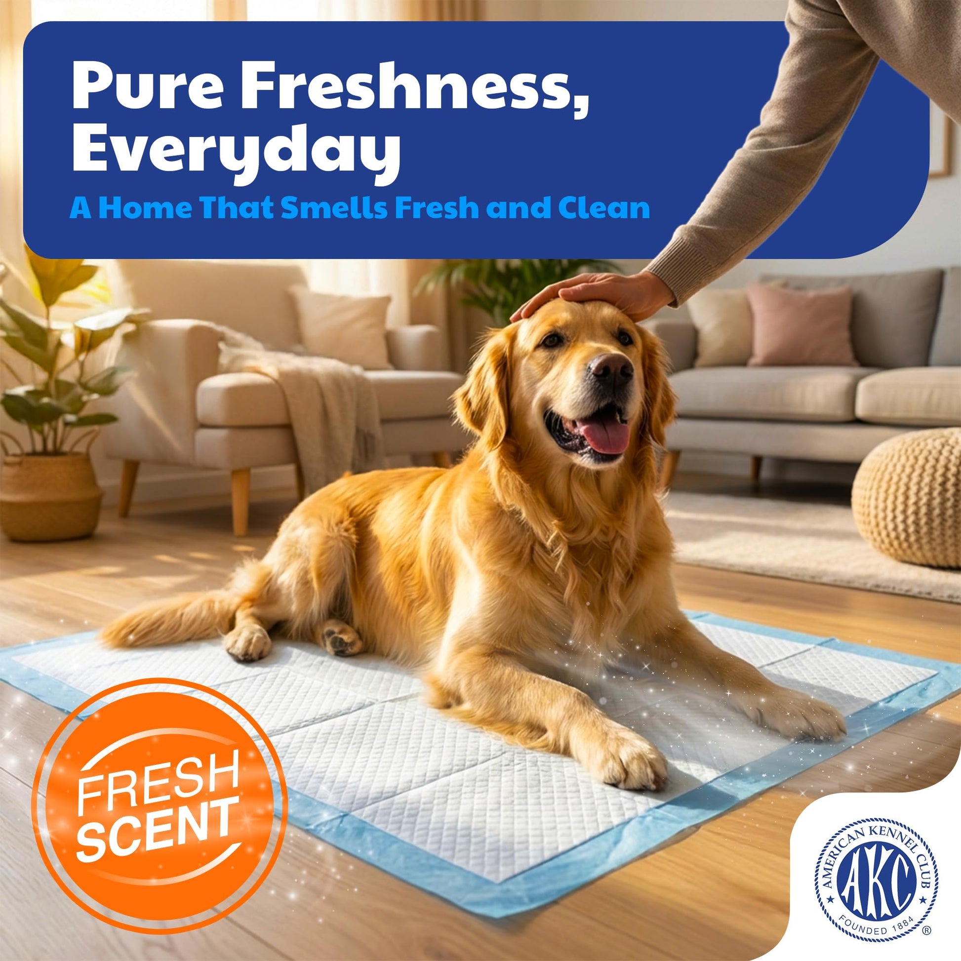 AKC Dog Training Pads. Chosen for real quality, fits naturally into modern pet homes.