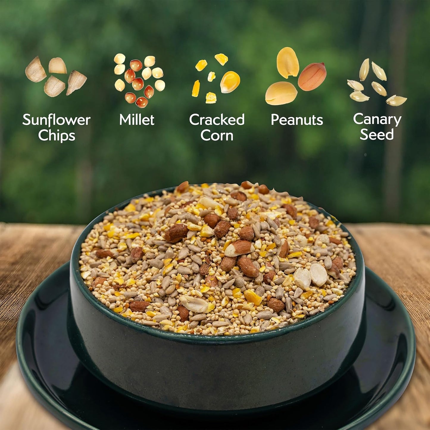 Morning Song Clean & Free No Mess Wild Bird Seed – 12 lb. Shell-Free Bird Food Blend with Sunflower Chips, Peanuts & Canary Seed – No Waste Bird Food for Outside Feeders