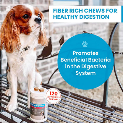 PawMedica Dog Anal Gland Chews to Stop Scoot for Dogs - Anal Gland Dog Constipation Relief - Recommended Dog AnalGland Support Chews Fiber - Fiber Supplement for Dogs (120 Dog Pumpkin Chews)