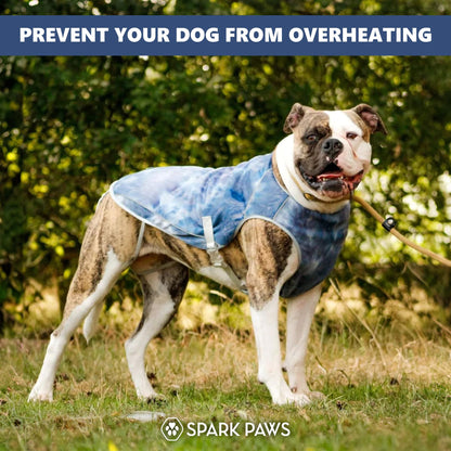Spark Paws Dog Cooling Vest. Chosen for real quality, fits naturally into modern pet homes.