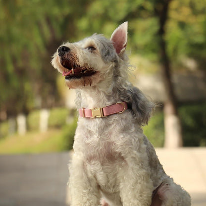 PET ARTIST Soft PU Leather Dog Collar, Bright & Classic Pink Dog Collar with Quick Release Rose Metal Buckle, Adjustable Nylon Padded Durable Pet Collars for Medium Dogs Girl, Neck Fit 13-19"