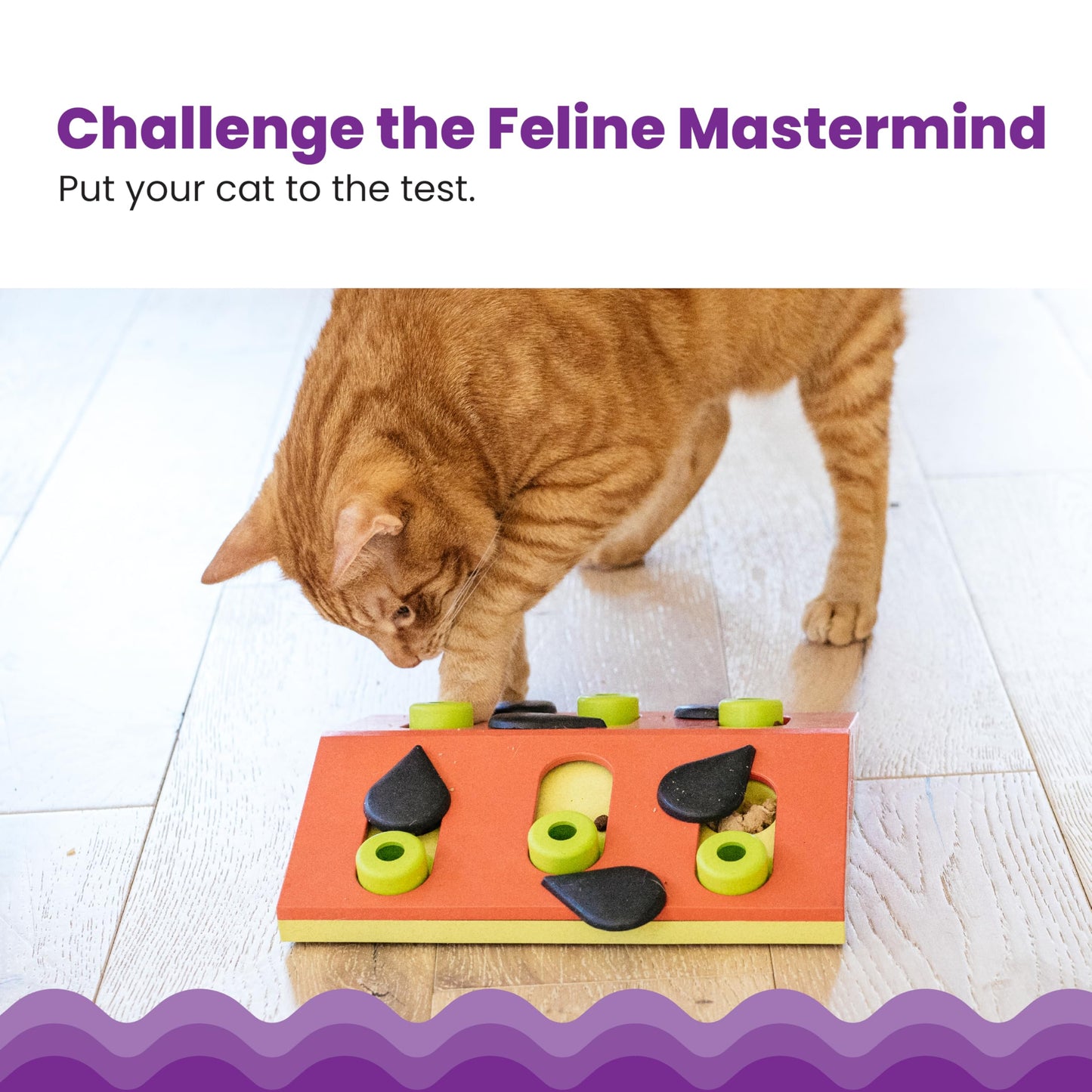 Catstages Nina Ottosson Melon Madness Puzzle & Play. Chosen for real quality, fits naturally into