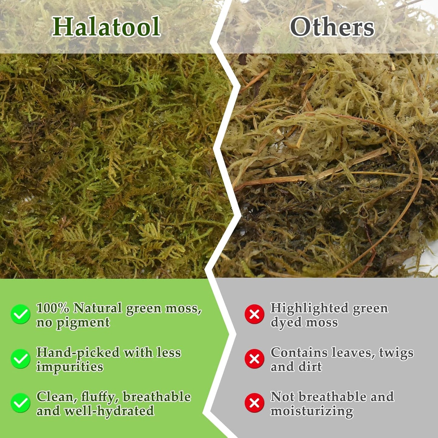Halatool 2.5LB Natural Sphagnum Moss for Reptiles- 60QT Green Live Moss for Terrarium Plants Long Fiber Reptile Moss for Leopard Gecko Snake Hamsters Tortoises Frogs Lizards Salamanders
