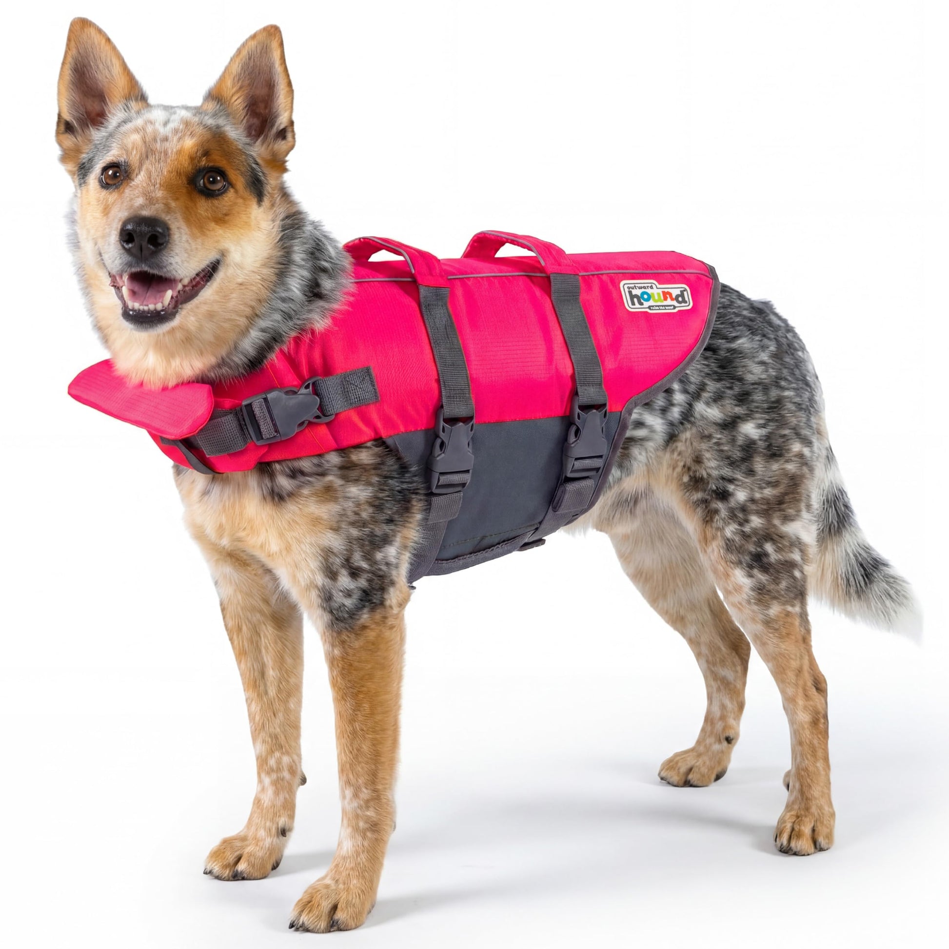 Outward Hound Granby Splash Dog Life Jacket. Chosen for real quality, fits naturally into modern