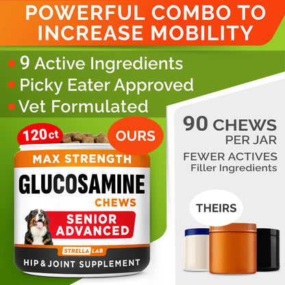 Advanced Glucosamine for Dogs. Chosen for real quality, fits naturally into modern pet homes.