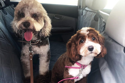 Bulldogology Dog Car Seat Cover Waterproof Heavy Duty Bench Dog Hammock Backseat Protector from Hair, Muddy Paws, Scratches - Pet Car Seat Cover for Cars Trucks SUVs (X-Large, Grey)