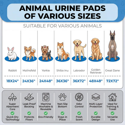 Washable Pee Pads for Dogs. Chosen for real quality, fits naturally into modern pet homes.