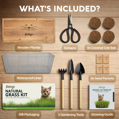 Cat Grass Kit for Indoor Cats. Chosen for real quality, fits naturally into modern pet homes.