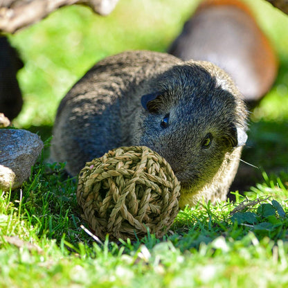 10 Pcs Small Animals Play Balls Rolling Activity Chew Toys Gnawing Treats for Rabbits Guinea Pigs Chinchilla Bunny Natural Balls, Pet Cage Entertainment Accessories(10Pcs)