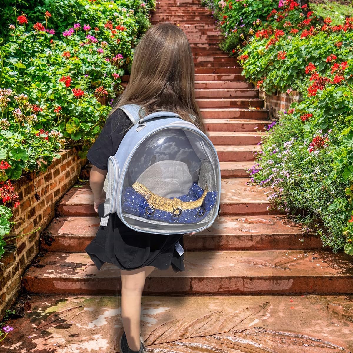 Bearded Dragon Travel Backpack with Harness and Leash Set,Lizard Backpack Travel Carrier,Space Capsule Clear Bubble Window Astronaut Reptile Carrier Backpack for Kids, Airline Approved