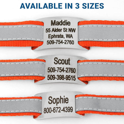 GoTags Reflective Personalized Dog Collar with Nameplate, Adjustable Dog Collar with Custom Engraved Steel Slide On Pet ID Tag, Silent, No Noise Dog Tag for Large Medium or Small (Orange, Medium)