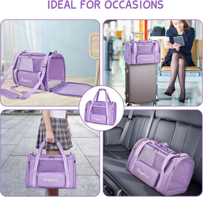 BurgeonNest Cat Dog Carrier, Cat Carriers for Large Medium Cats 20 lbs, Soft Sided Puppy Kitten Pet Carrier Under 25 lbs, Collapsible Travel Cat Carrier with Unique Side Bag (Medium)