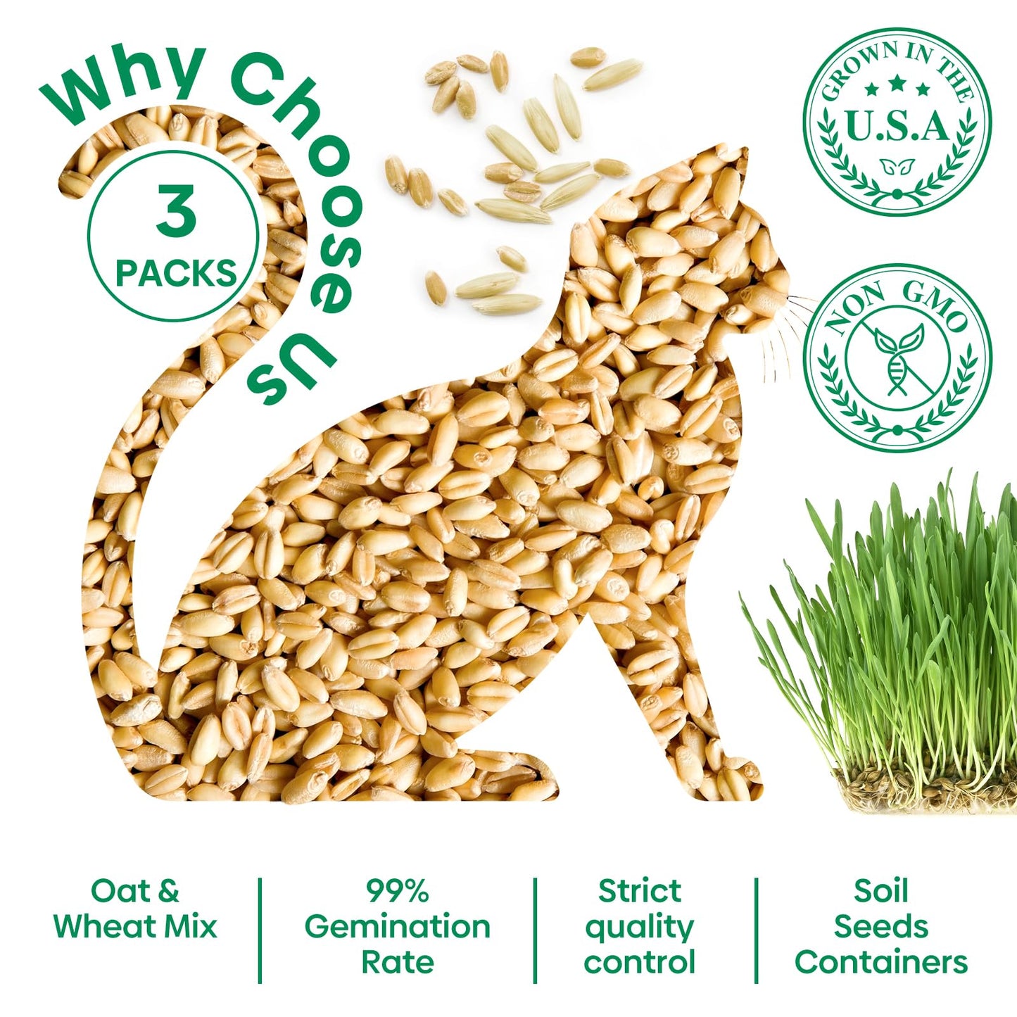 Groundio Cat Grass Kit for Indoor Cats. Chosen for real quality, fits naturally into modern pet