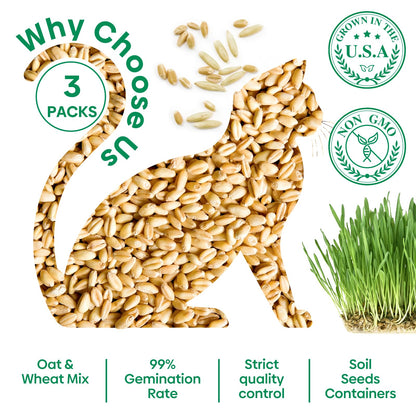 Groundio Cat Grass Kit for Indoor Cats. Chosen for real quality, fits naturally into modern pet