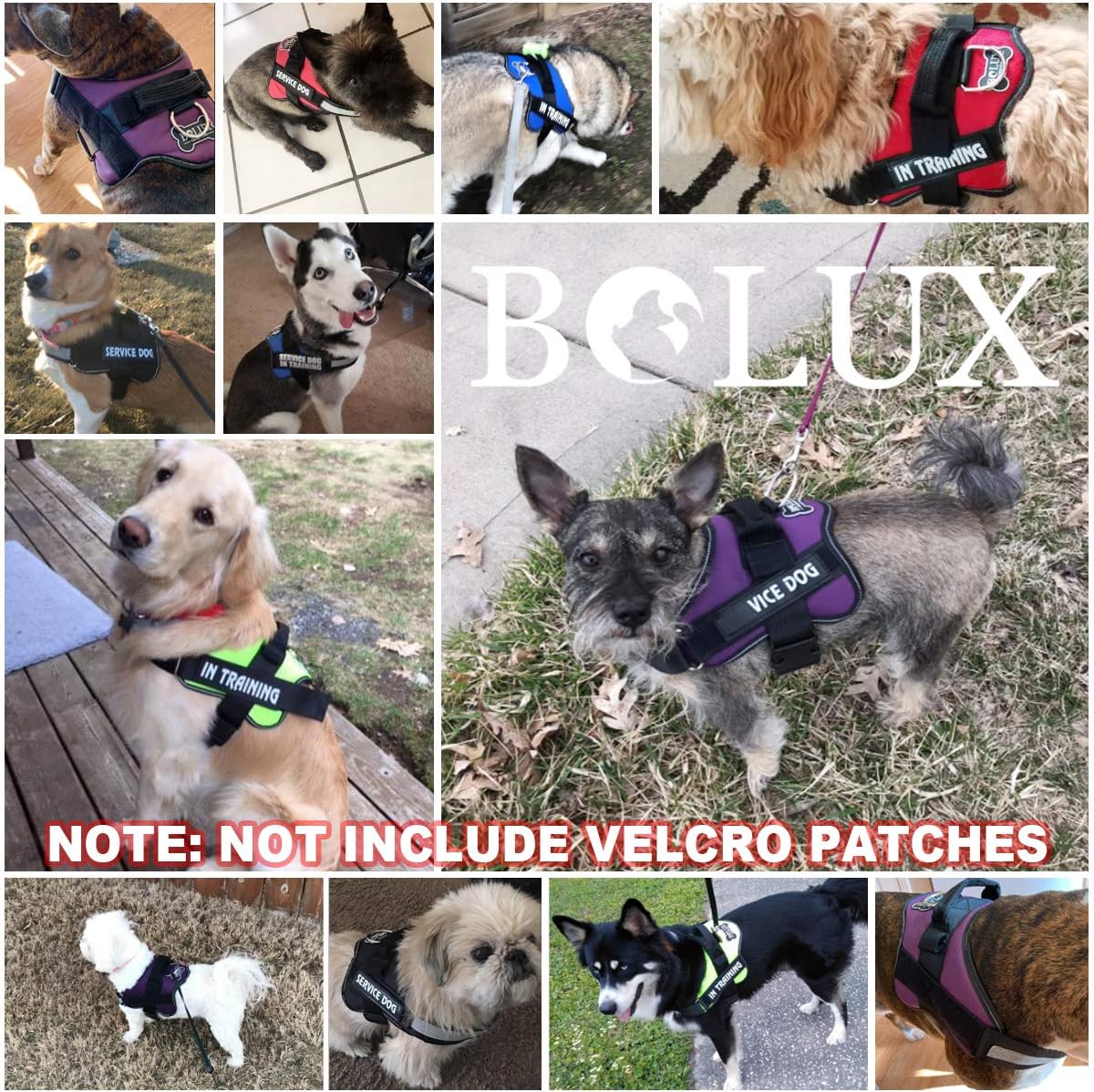 Bolux Dog Harness, No-Pull Reflective Dog Vest, Breathable Adjustable Pet Harness with Handle for Outdoor Walking - No More Pulling, Tugging or Choking (Purple, S)