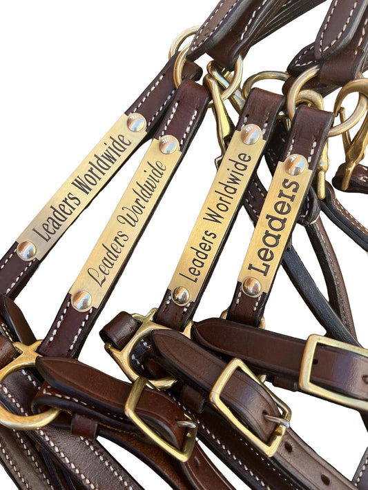 Leaders 3/4" Leather Halter for Horses with Customized Engraved Name Plate Brown Leather with Solid
