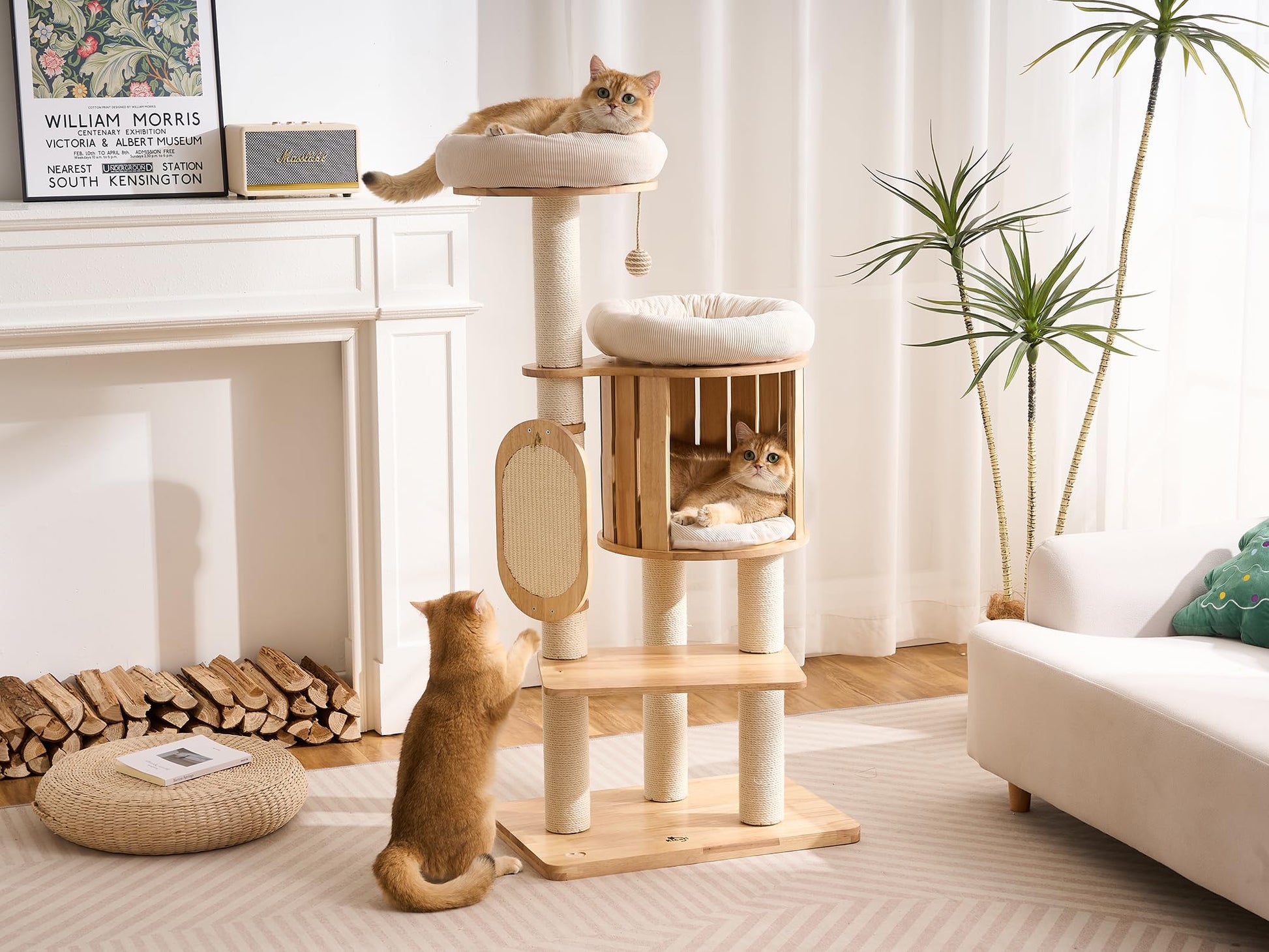 Kicari 50" Modern Cat Tree for Indoor Cats Small to. Chosen for real quality, fits naturally into