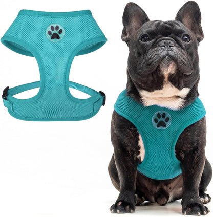 BINGPET Small Dog Harness - Breathable Mesh Puppy Cat Harnesses - No Pull Adjustable Dog Harness Dog Vest Harness for Small and Medium Dogs