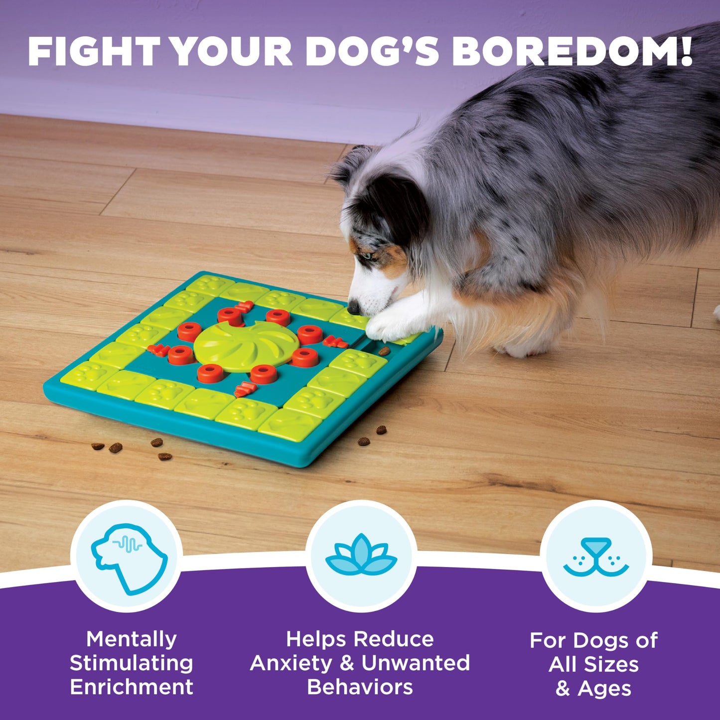 Outward Hound Nina Ottosson MultiPuzzle Dog Toy Treat. Chosen for real quality, fits naturally into