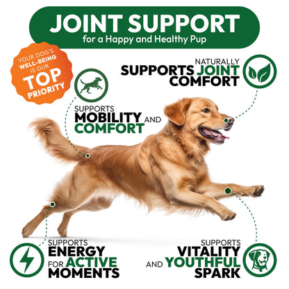 Glucosamine for Dogs. Chosen for real quality, fits naturally into modern pet homes.