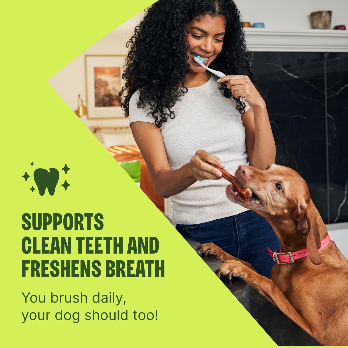 Wellness WHIMZEES Value Pack Natural Dog Dental Treat. Chosen for real quality, fits naturally into