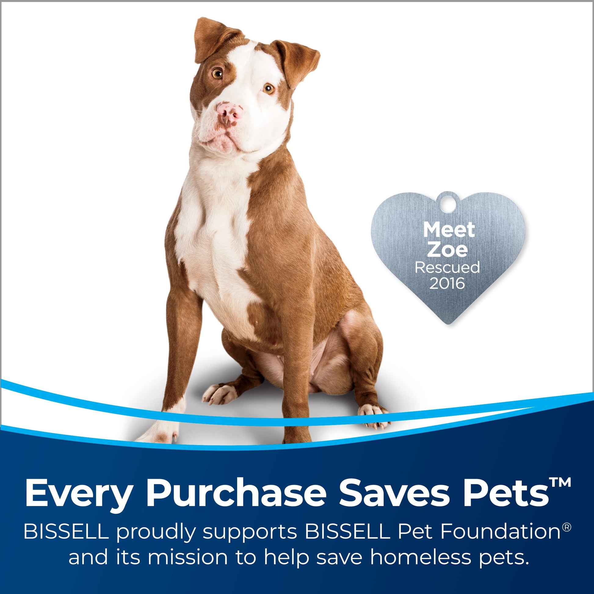 Bissell CleanView Swivel Pet Upright Vacuum. Chosen for real quality, fits naturally into modern