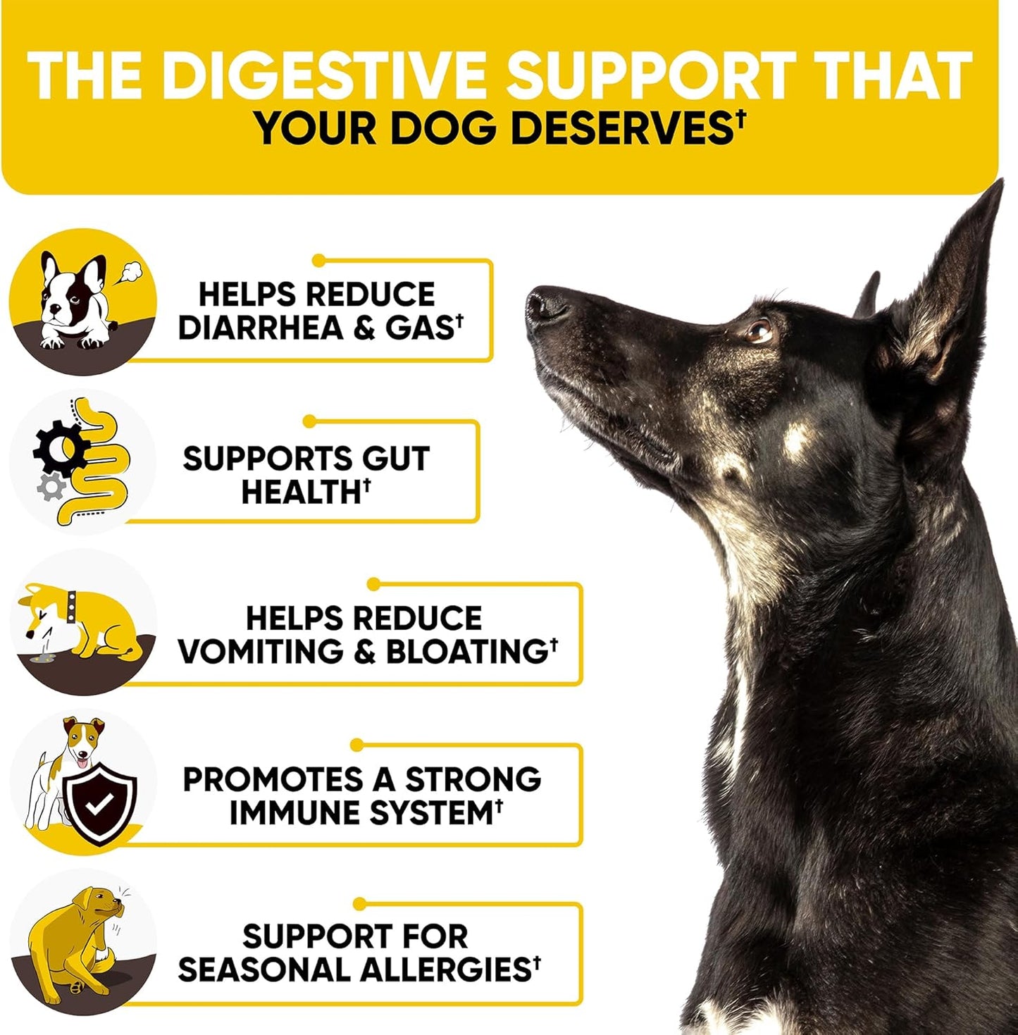 Probiotics Chews for Dogs w/Digestive Enzymes - Dog Probiotics to Support Gut Health, Alleviate Dog Itch, Soothe Itchy Skin, Dog Allergy Relief - Good for Immunity & Dog Itching Skin Relief -180 ct