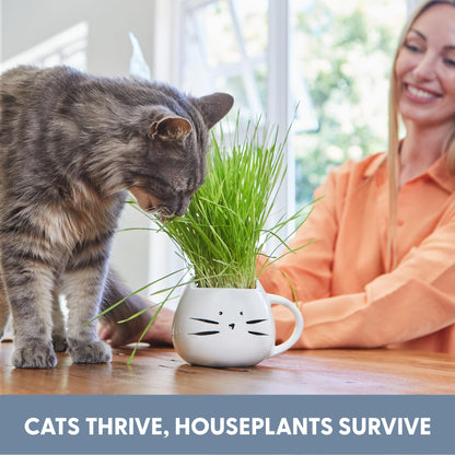 The Cat Ladies Organic Cat Grass for Indoor Cats. Chosen for real quality, fits naturally into