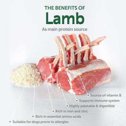 Nature's Protection Superior Care White Dogs Dry Dog Food - High Protein, Tear Stain Dog Food for Small & Mini Breeds Light Coated Adult Dogs, Fresh Pet Meal, Lamb and Rice, 3.3 lb