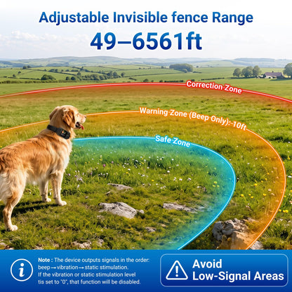 GPS Wireless Dog Fence System. Chosen for real quality, fits naturally into modern pet homes.