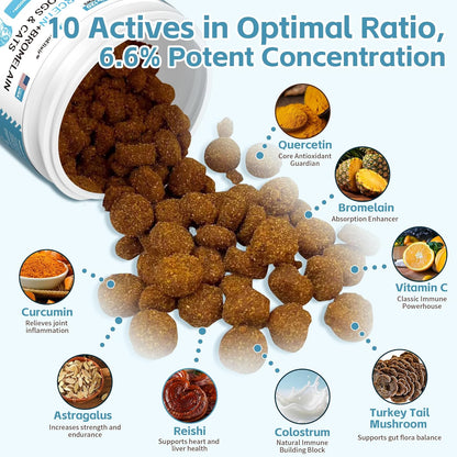 Quercetin for Dogs with Bromelain - Dog Allergy & Itch Relief Chews, Balanced Immune System – Skin & Ear Soothing Support for Yeast Infection, Hot Spots & Seasonal Allergies - 120 Treats