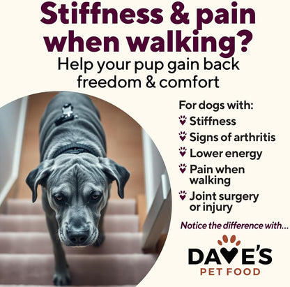 Dave's Pet Food Glucosamine Chondroitin for Dogs, Hip and Joint Support, Gluten-Free, Wet Senior Dog Food, 13.2 oz (Case of 12)