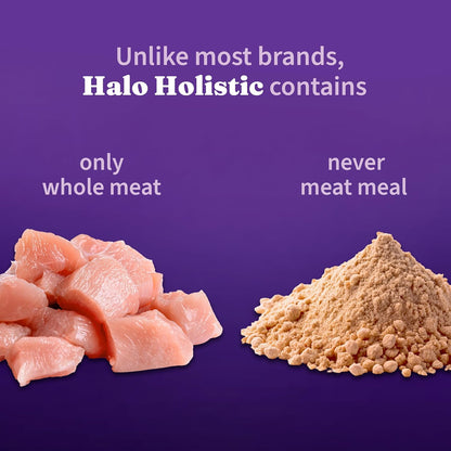 Halo Holistic Cage Free Chicken Cat Food, Healthy Grains Dry Cat Food, Complete Digestive Health, Kibble for Adult Cats, 6 lb Bag