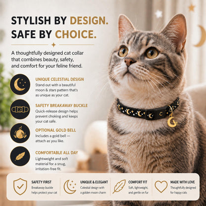 waaag Cat Collars. Chosen for real quality, fits naturally into modern pet homes.