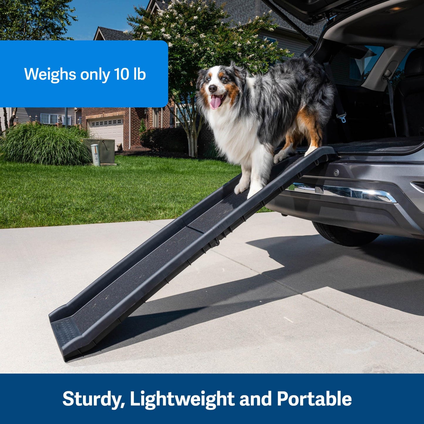 PetSafe Happy Ride Folding Dog Ramp. Chosen for real quality, fits naturally into modern pet homes.