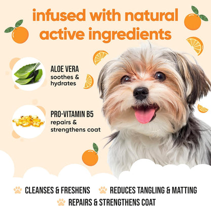 Orange Dog Shampoo by Buddycare | Deep Cleansing Shampoo for Dogs | Orange Scented | with Aloe Vera and Pro Vitamin B5 (16.9oz)