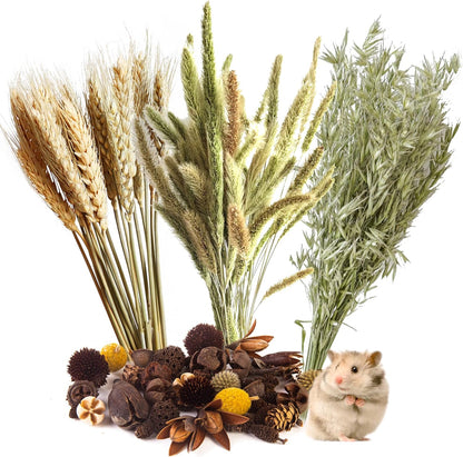 Natural Ear of Grain Flower&Herb Bedding Mate Habitat Decor, Adding Fun Hamster Accessories for Hamsters Gerbils Lemming