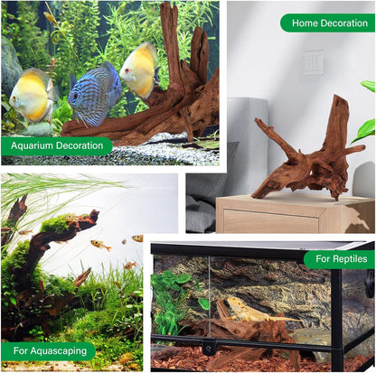 Driftwood for Aquarium Natural Aquarium Wood for Aquascaping Fish Tank Decorations Reptile Tank Decor (Natural Driftwood 6-10" (Pack of 3)+Protein Cotton)