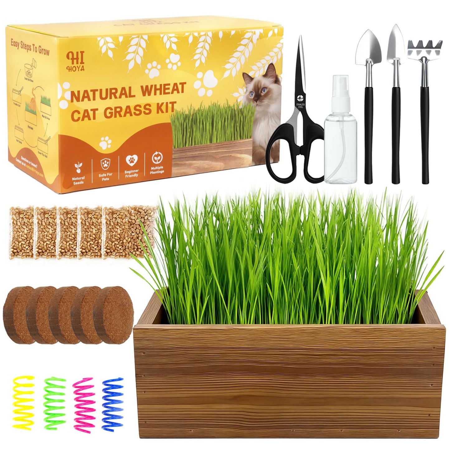 Cat Grass Kit for Indoor Cats with Wooden Planter. Chosen for real quality, fits naturally into