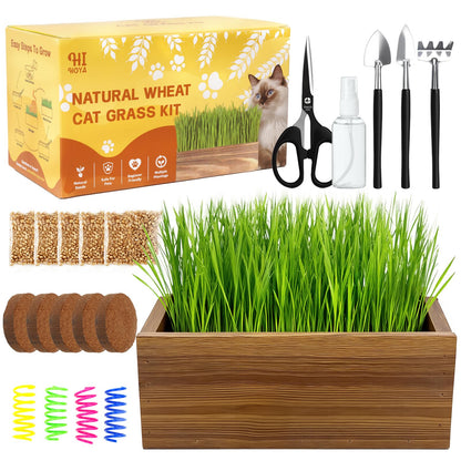 Cat Grass Kit for Indoor Cats with Wooden Planter. Chosen for real quality, fits naturally into