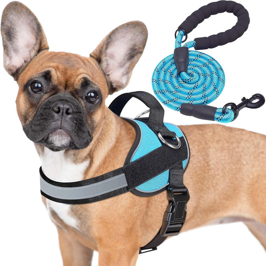 Haapaw Essential Dog Harness, No Pull Pet Vest with 3 Leash Clips, No Choke, Reflective, Adjustable and Padded, for Easy Walking and Training for Medium Dogs(M, Blue)