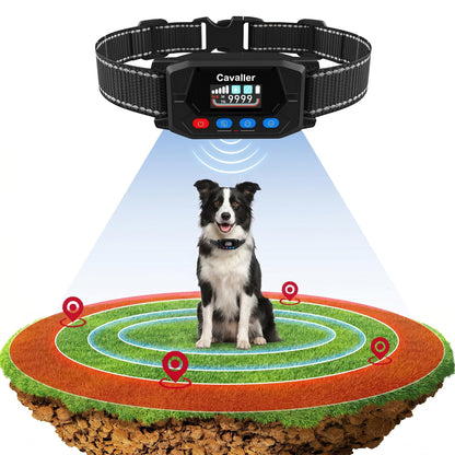 PATPET GPS Wireless Dog Fence | No. Chosen for real quality, fits naturally into modern pet homes.
