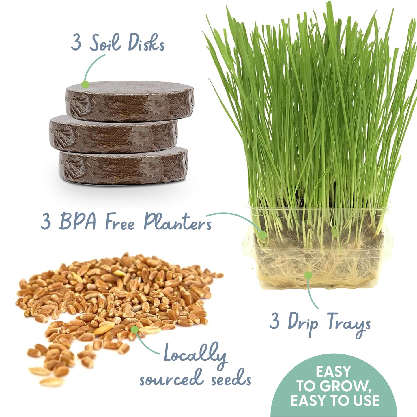 The Cat Ladies Cat Grass for Indoor Cats. Chosen for real quality, fits naturally into modern pet