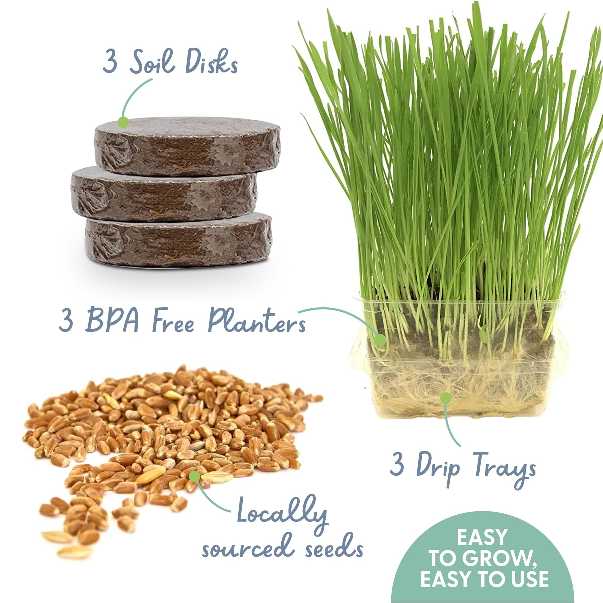 The Cat Ladies Cat Grass for Indoor Cats. Chosen for real quality, fits naturally into modern pet