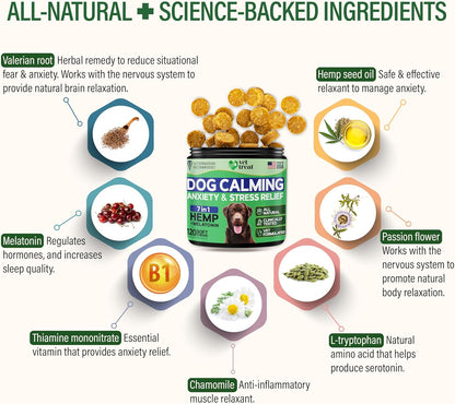 Hemp Calming Chews for Dogs - Dog Calming Chews - Anxiety Relief Treats with Melatonin - Advanced Stress Relief, Separation Aid, Barking, Thunder, Fireworks, Travel - Made in USA - 120 Soft Chews