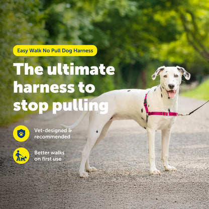PetSafe Easy Walk Harness. Chosen for real quality, fits naturally into modern pet homes.