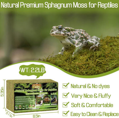 Halatool 2.2LB Natural Sphagnum Moss for Reptiles- 50QT Green Live Moss for Terrarium Plants Long Fiber Reptile Moss for Leopard Gecko Snake Hamsters Tortoises Frogs Lizards Salamanders