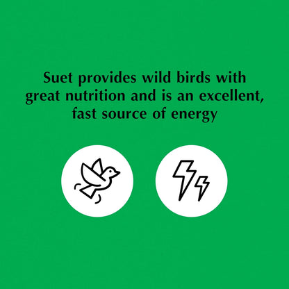 C&S Wild Bird Bluebird Suet Nuggets Mega Box, 8 Pounds